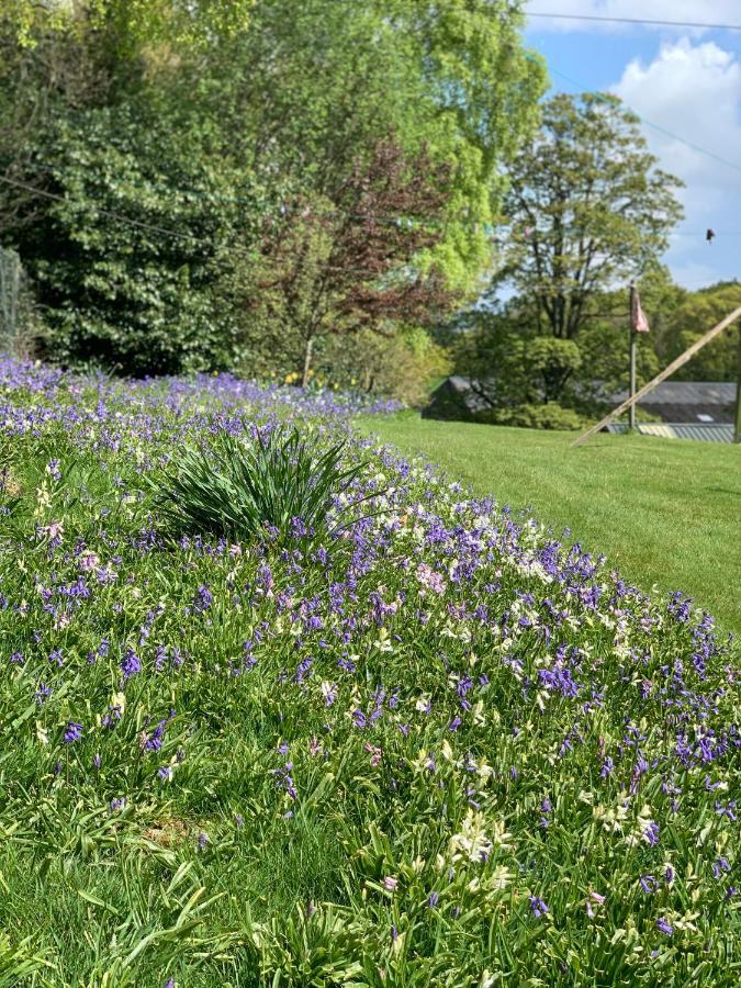 West Plean House Bed & Breakfast Stirling